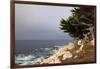 USA, California, Monterey. 17-Mile Drive Coast Near Ghost Tree-Kymri Wilt-Framed Photographic Print