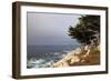 USA, California, Monterey. 17-Mile Drive Coast Near Ghost Tree-Kymri Wilt-Framed Photographic Print