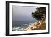 USA, California, Monterey. 17-Mile Drive Coast Near Ghost Tree-Kymri Wilt-Framed Photographic Print