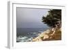 USA, California, Monterey. 17-Mile Drive Coast Near Ghost Tree-Kymri Wilt-Framed Photographic Print