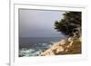 USA, California, Monterey. 17-Mile Drive Coast Near Ghost Tree-Kymri Wilt-Framed Photographic Print