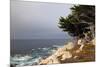 USA, California, Monterey. 17-Mile Drive Coast Near Ghost Tree-Kymri Wilt-Mounted Premium Photographic Print