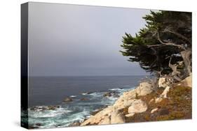 USA, California, Monterey. 17-Mile Drive Coast Near Ghost Tree-Kymri Wilt-Stretched Canvas