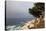 USA, California, Monterey. 17-Mile Drive Coast Near Ghost Tree-Kymri Wilt-Stretched Canvas