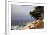 USA, California, Monterey. 17-Mile Drive Coast Near Ghost Tree-Kymri Wilt-Framed Photographic Print