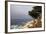 USA, California, Monterey. 17-Mile Drive Coast Near Ghost Tree-Kymri Wilt-Framed Photographic Print