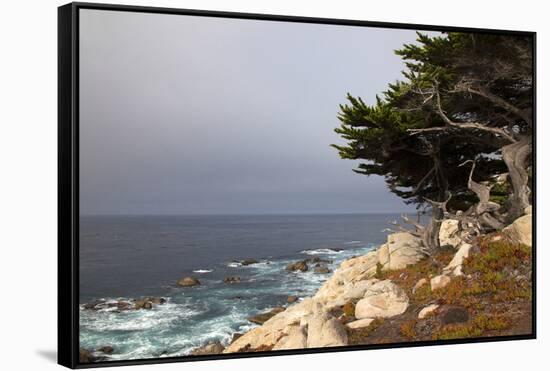 USA, California, Monterey. 17-Mile Drive Coast Near Ghost Tree-Kymri Wilt-Framed Stretched Canvas