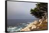 USA, California, Monterey. 17-Mile Drive Coast Near Ghost Tree-Kymri Wilt-Framed Stretched Canvas