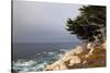 USA, California, Monterey. 17-Mile Drive Coast Near Ghost Tree-Kymri Wilt-Stretched Canvas