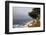 USA, California, Monterey. 17-Mile Drive Coast Near Ghost Tree-Kymri Wilt-Framed Photographic Print