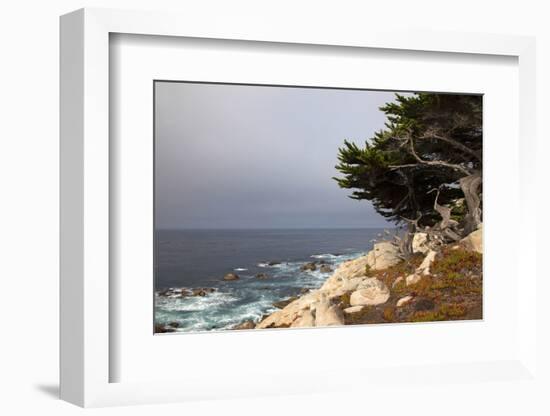 USA, California, Monterey. 17-Mile Drive Coast Near Ghost Tree-Kymri Wilt-Framed Photographic Print