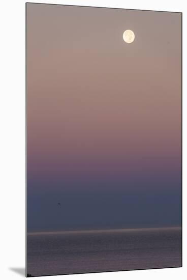 USA, California, Moonset over Pacific Ocean-John Ford-Mounted Premium Photographic Print