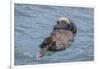 USA, California, Morro Bay State Park. Sea Otter mother resting on water.-Jaynes Gallery-Framed Photographic Print