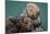 USA, California, Morro Bay State Park. Sea Otter mother with pup.-Jaynes Gallery-Mounted Photographic Print