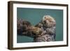 USA, California, Morro Bay State Park. Sea Otter mother with pup.-Jaynes Gallery-Framed Photographic Print