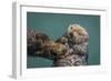 USA, California, Morro Bay State Park. Sea Otter mother with pup.-Jaynes Gallery-Framed Photographic Print