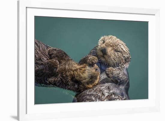 USA, California, Morro Bay State Park. Sea Otter mother with pup.-Jaynes Gallery-Framed Photographic Print