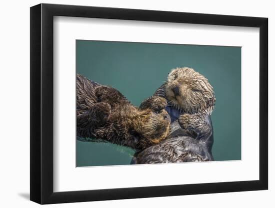 USA, California, Morro Bay State Park. Sea Otter mother with pup.-Jaynes Gallery-Framed Photographic Print