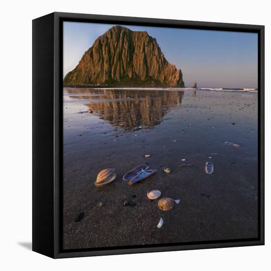 USA, California. Morro Rock above a sand beach with shells.-Anna Miller-Framed Stretched Canvas