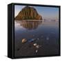 USA, California. Morro Rock above a sand beach with shells.-Anna Miller-Framed Stretched Canvas