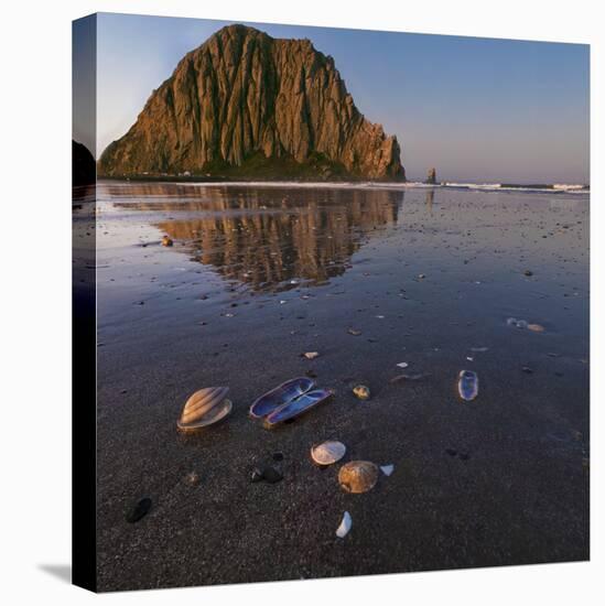 USA, California. Morro Rock above a sand beach with shells.-Anna Miller-Stretched Canvas