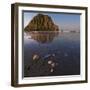 USA, California. Morro Rock above a sand beach with shells.-Anna Miller-Framed Photographic Print