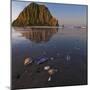 USA, California. Morro Rock above a sand beach with shells.-Anna Miller-Mounted Photographic Print