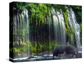 USA, California, Mossbrae Waterfall and the Sacramento River-Jaynes Gallery-Stretched Canvas