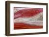 USA, California, Mount Diablo State Park. Manzanita Wood Detail-Don Paulson-Framed Photographic Print