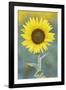 USA, California, Napa Valley of sunflower.-Jaynes Gallery-Framed Photographic Print