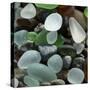 USA, California. Natural sea glass on beach.-Jaynes Gallery-Stretched Canvas