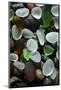 USA, California. Natural sea glass on beach.-Jaynes Gallery-Mounted Photographic Print