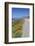 USA, California, Near Big Sur, California Poppies, Along Highway 1-Rob Tilley-Framed Photographic Print