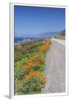 USA, California, Near Big Sur, California Poppies, Along Highway 1-Rob Tilley-Framed Premium Photographic Print