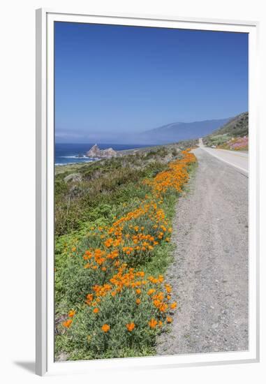 USA, California, Near Big Sur, California Poppies, Along Highway 1-Rob Tilley-Framed Premium Photographic Print