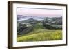 USA, California, Near Paso Robles, Mustard Hill Dawn-Rob Tilley-Framed Photographic Print