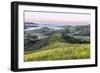 USA, California, Near Paso Robles, Mustard Hill Dawn-Rob Tilley-Framed Photographic Print