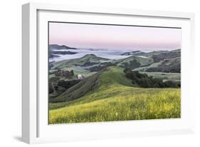 USA, California, Near Paso Robles, Mustard Hill Dawn-Rob Tilley-Framed Photographic Print