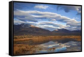 USA, California, Owens Valley. Reflections in marsh pond.-Jaynes Gallery-Framed Stretched Canvas