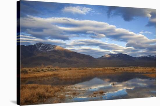 USA, California, Owens Valley. Reflections in marsh pond.-Jaynes Gallery-Stretched Canvas
