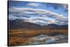 USA, California, Owens Valley. Reflections in marsh pond.-Jaynes Gallery-Stretched Canvas