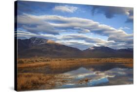 USA, California, Owens Valley. Reflections in marsh pond.-Jaynes Gallery-Stretched Canvas