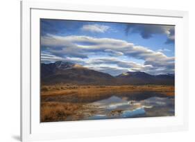 USA, California, Owens Valley. Reflections in marsh pond.-Jaynes Gallery-Framed Premium Photographic Print