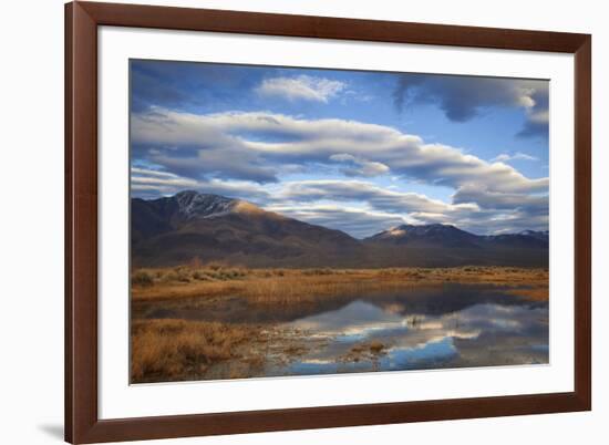 USA, California, Owens Valley. Reflections in marsh pond.-Jaynes Gallery-Framed Premium Photographic Print