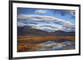 USA, California, Owens Valley. Reflections in marsh pond.-Jaynes Gallery-Framed Premium Photographic Print