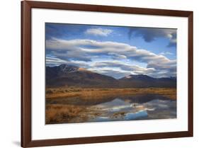 USA, California, Owens Valley. Reflections in marsh pond.-Jaynes Gallery-Framed Premium Photographic Print