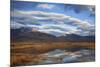 USA, California, Owens Valley. Reflections in marsh pond.-Jaynes Gallery-Mounted Premium Photographic Print