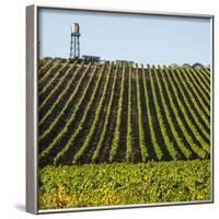 USA California. Pacific Coast Highway, PCH, crops and water tower-Alison Jones-Framed Photographic Print