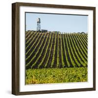 USA California. Pacific Coast Highway, PCH, crops and water tower-Alison Jones-Framed Photographic Print