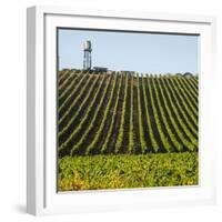 USA California. Pacific Coast Highway, PCH, crops and water tower-Alison Jones-Framed Photographic Print